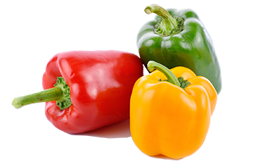 Papryka